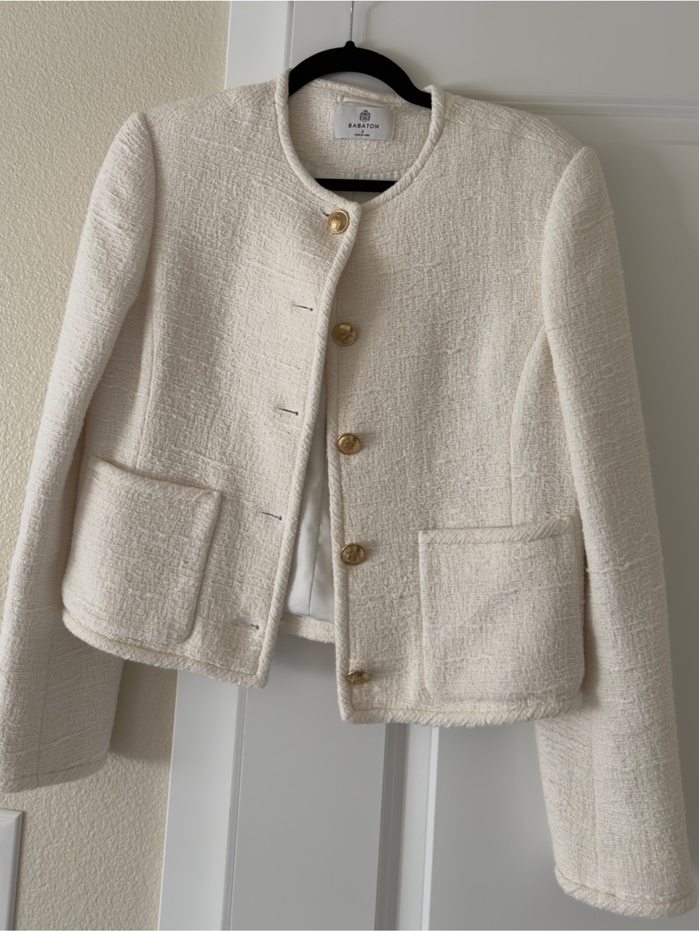 Aritzia Babaton Jacket